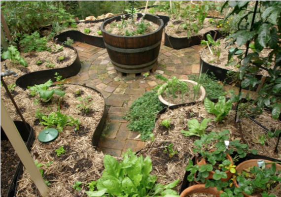 Such A Genius Addition