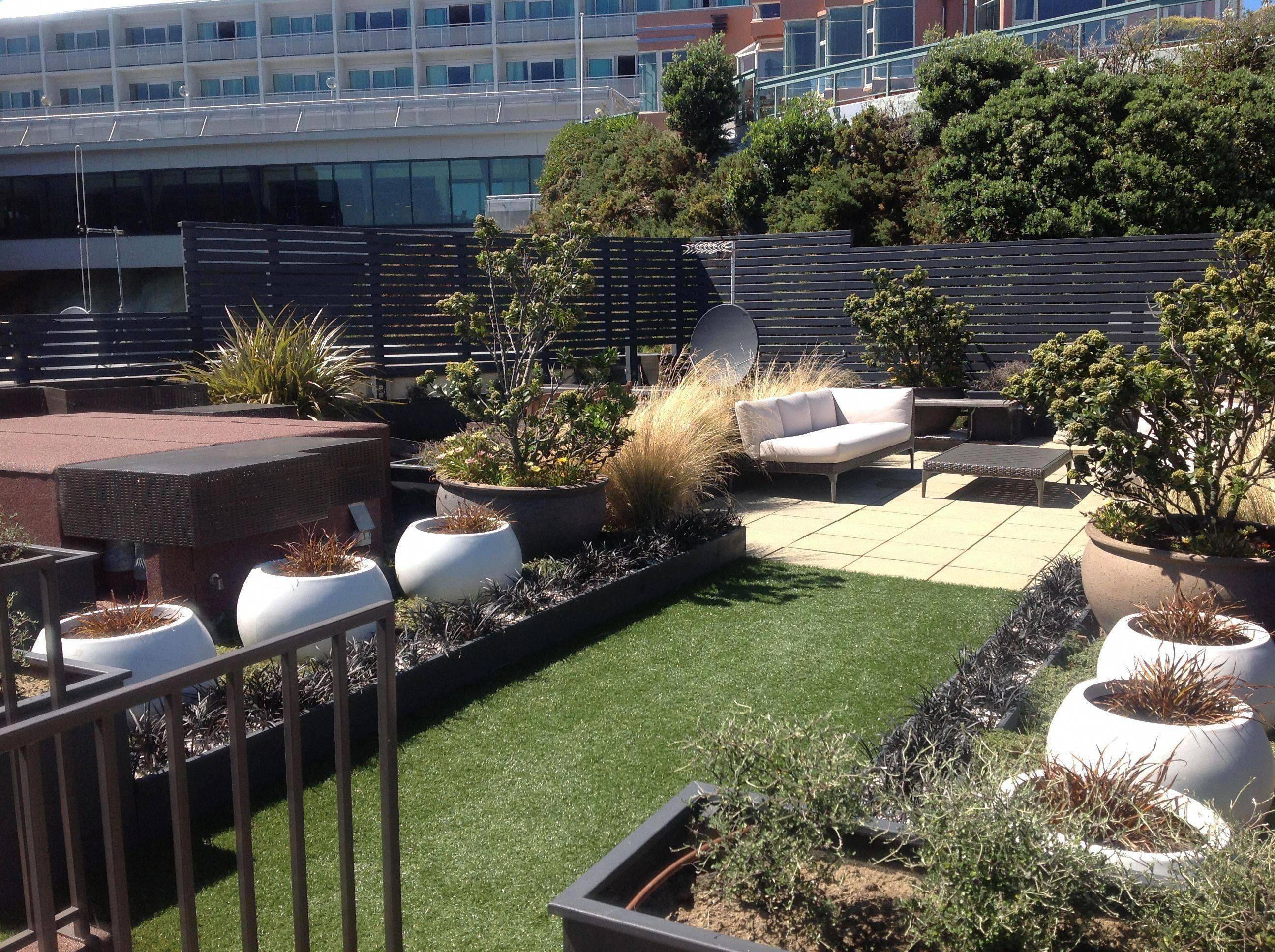 New Zealand Garden Plants Pdf