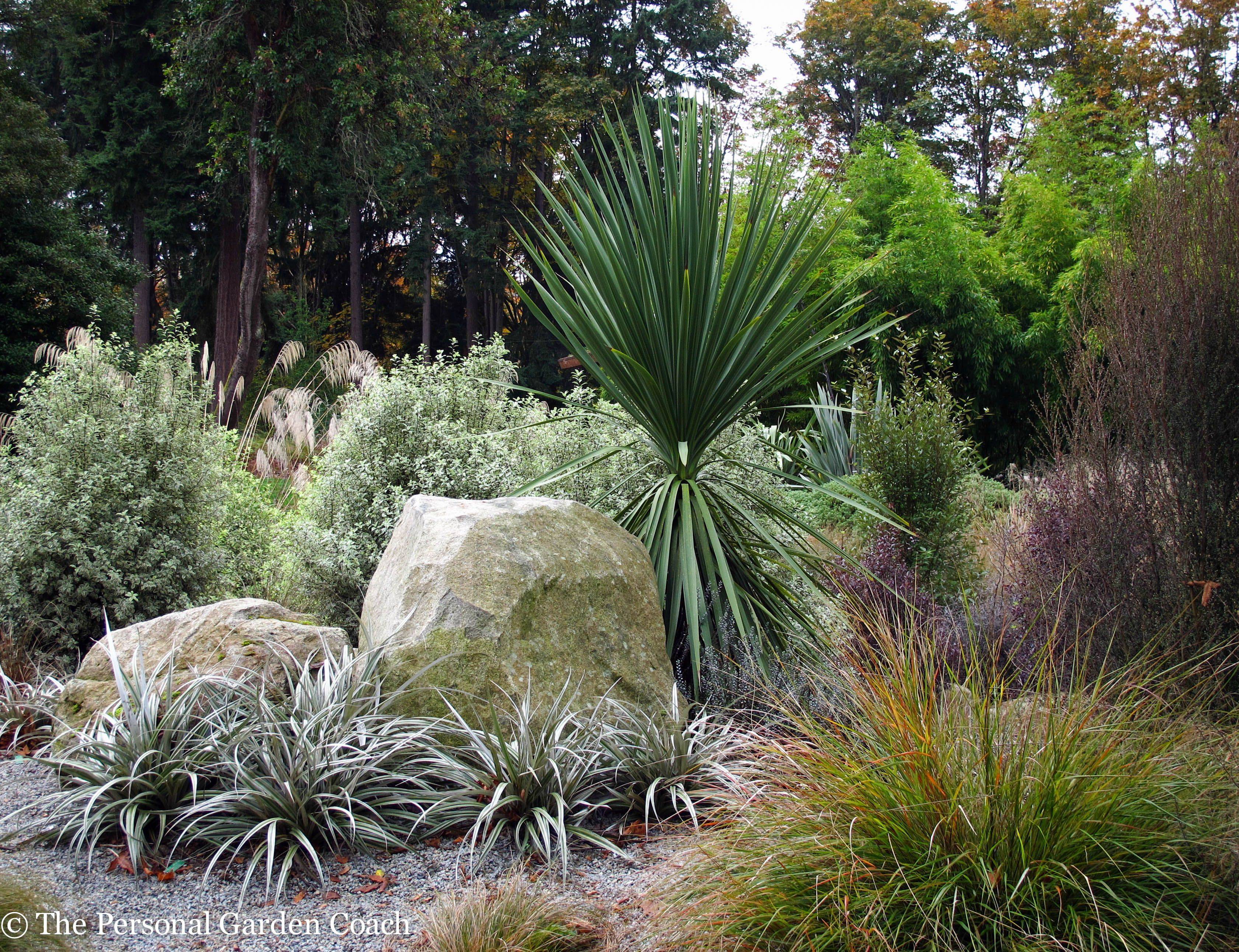 New Zealand Native Garden Google Search Native Garden