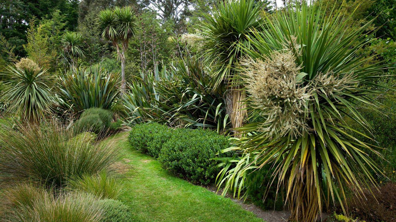 New Zealand Urban Sub Tropical Garden Tropical Garden