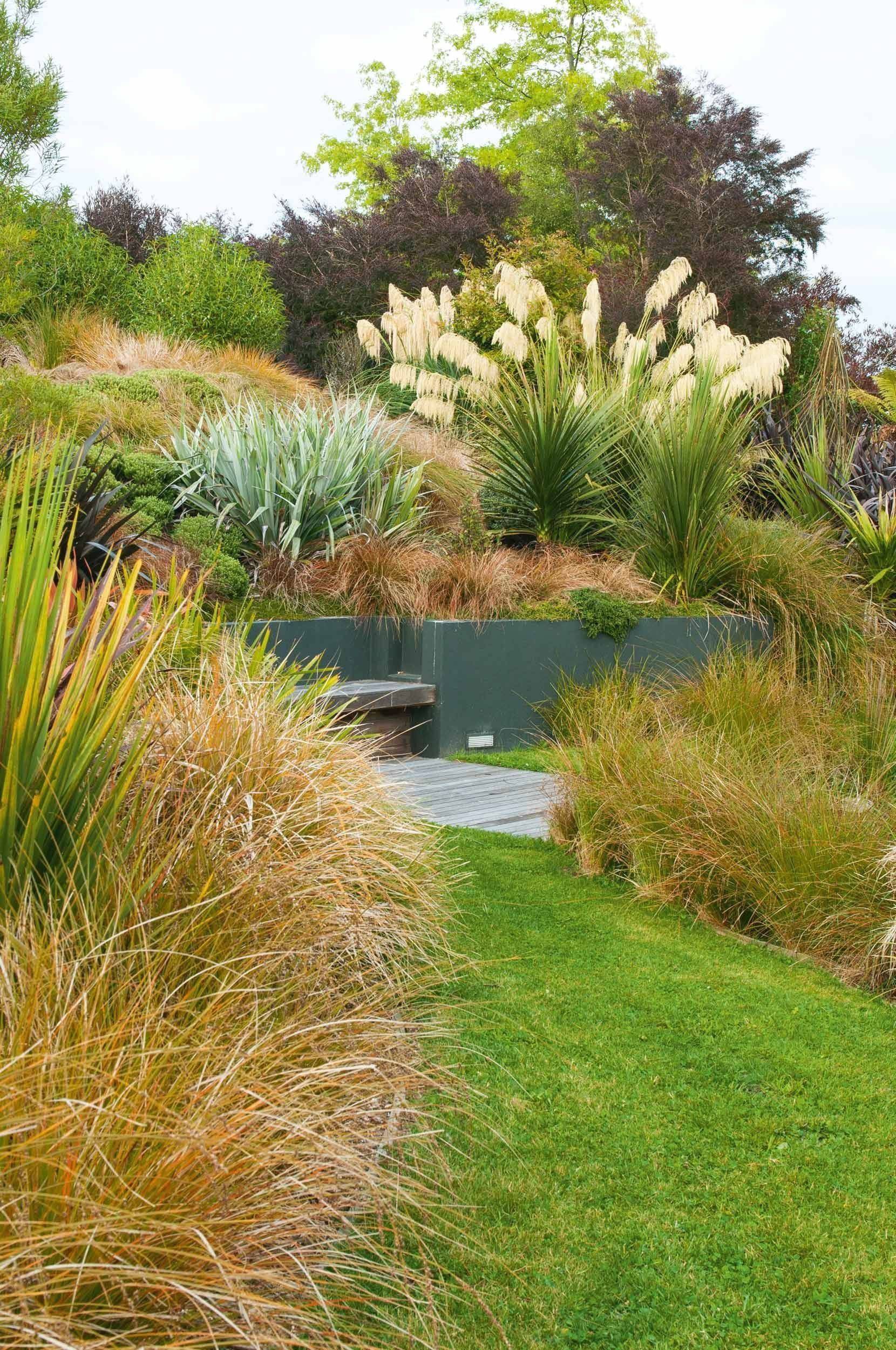 New Zealand Native Garden