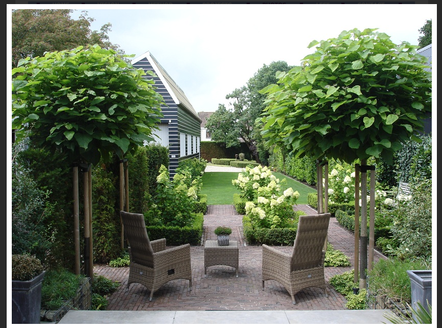 Small Backyard Ideas Landscaping Ideas