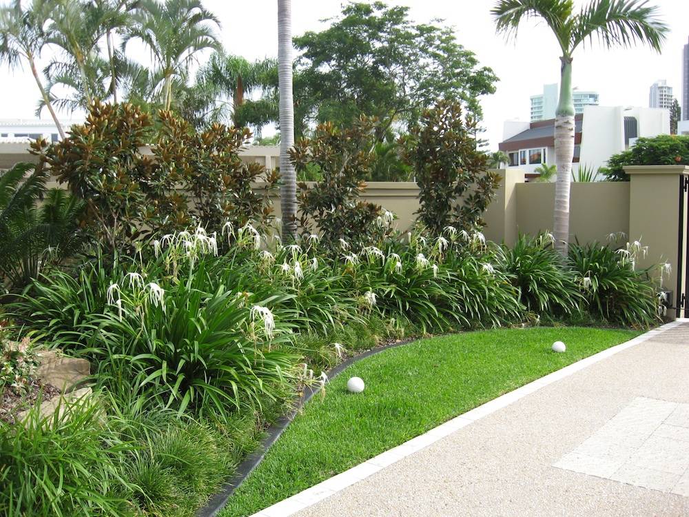 Exquisite Tropical Garden Ideas Queensland