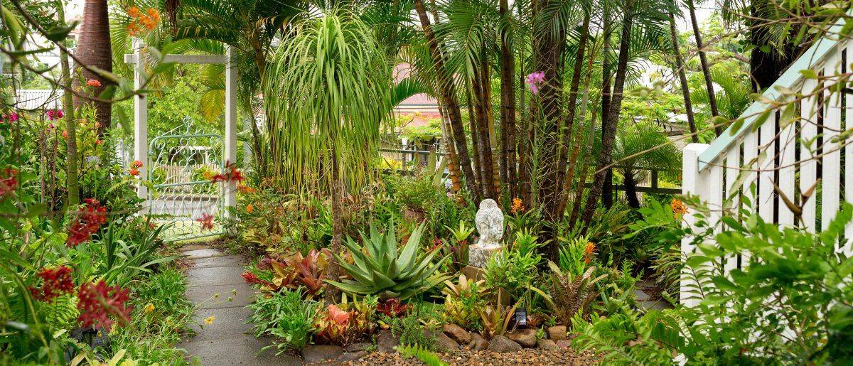20 Queensland Garden Ideas You Should Look SharonSable
