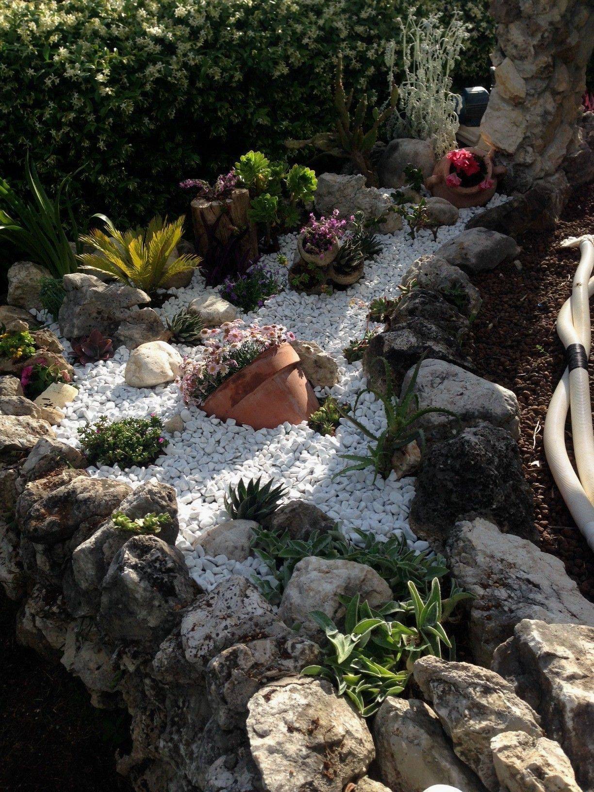 A Tropical Brisbane Garden Wonderland Tropical Garden