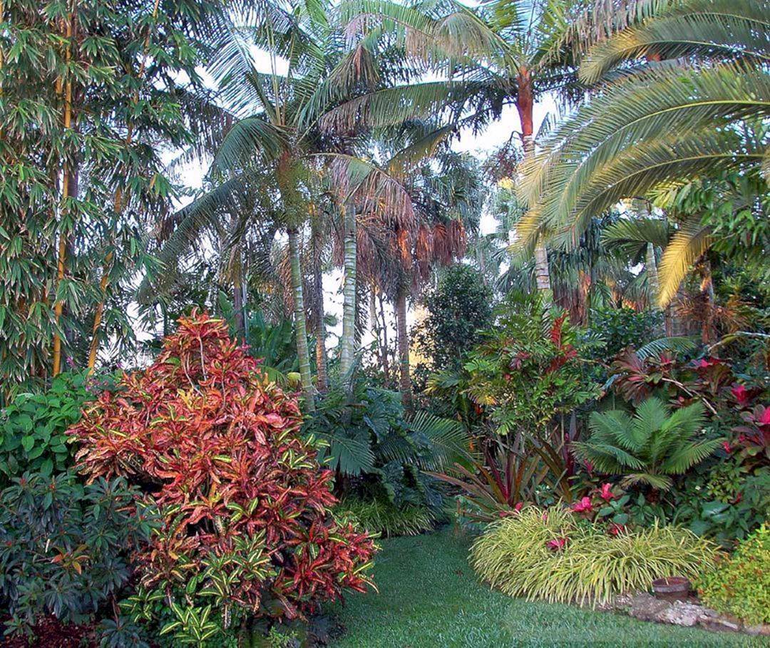 Garden Landscaping Ideas Brisbane
