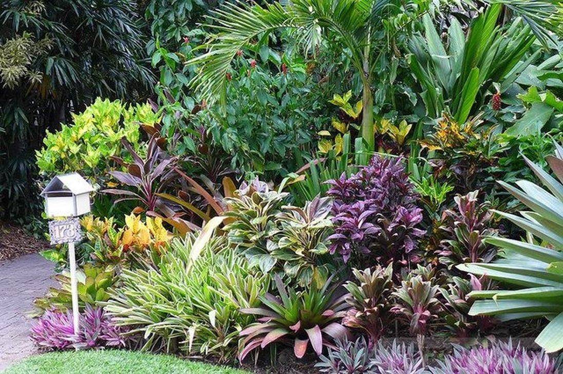 Private Tropical Style Garden