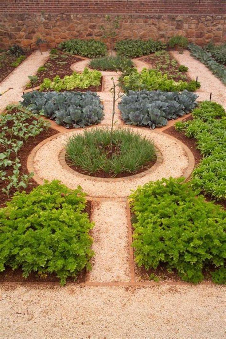 Herb Gardening Designs