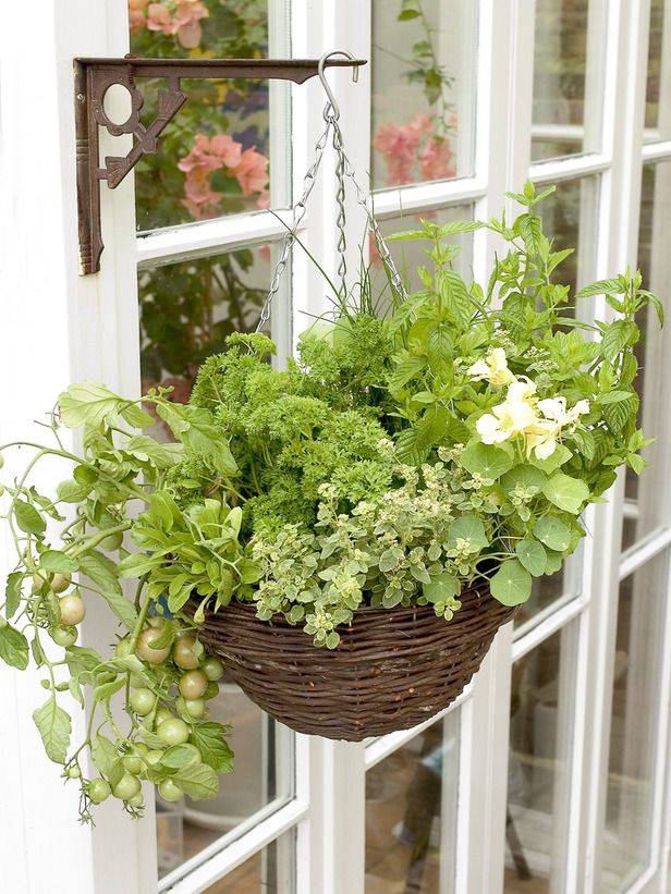 Fresh And Easy Summer Container Garden Flowers Ideas Container