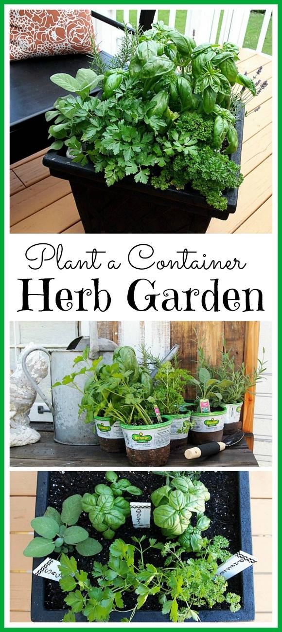 Best Container Herb Garden Ideas Best Collections