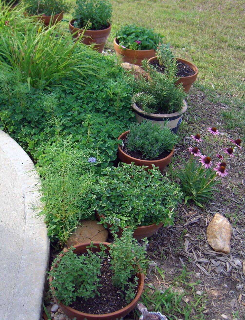 A Tiered Container Garden Southern Patio