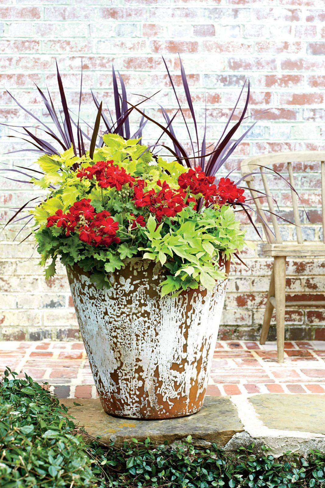 Container Garden Recipe Great Ideas