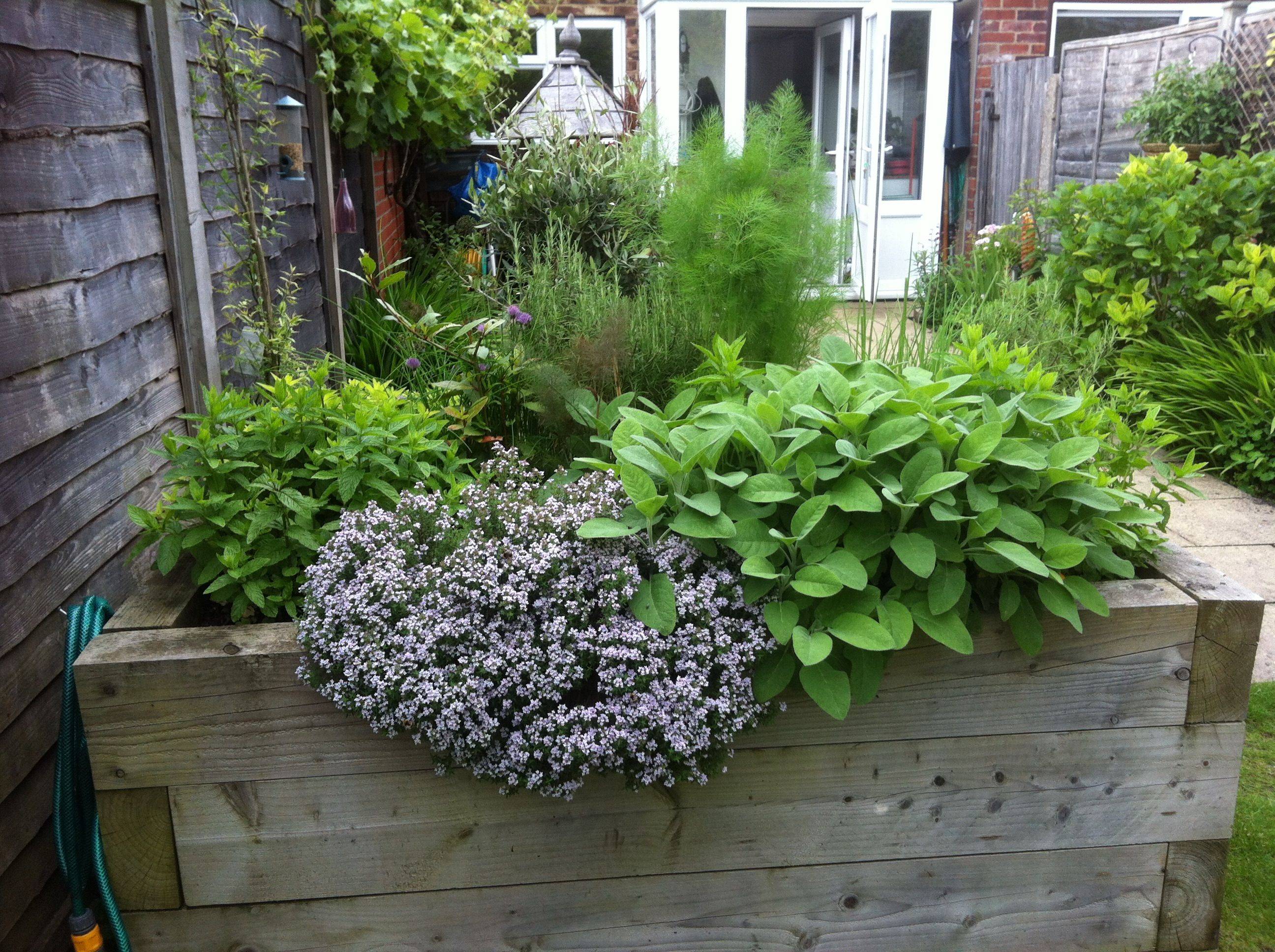 Delightful Raised Garden Beds