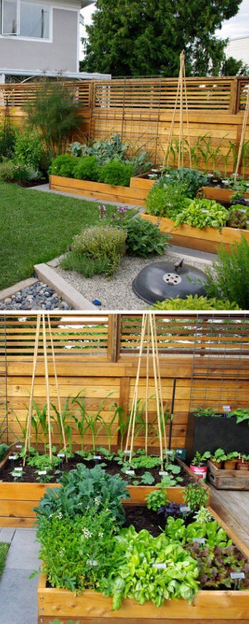 Marvelous Container Garden Ideas