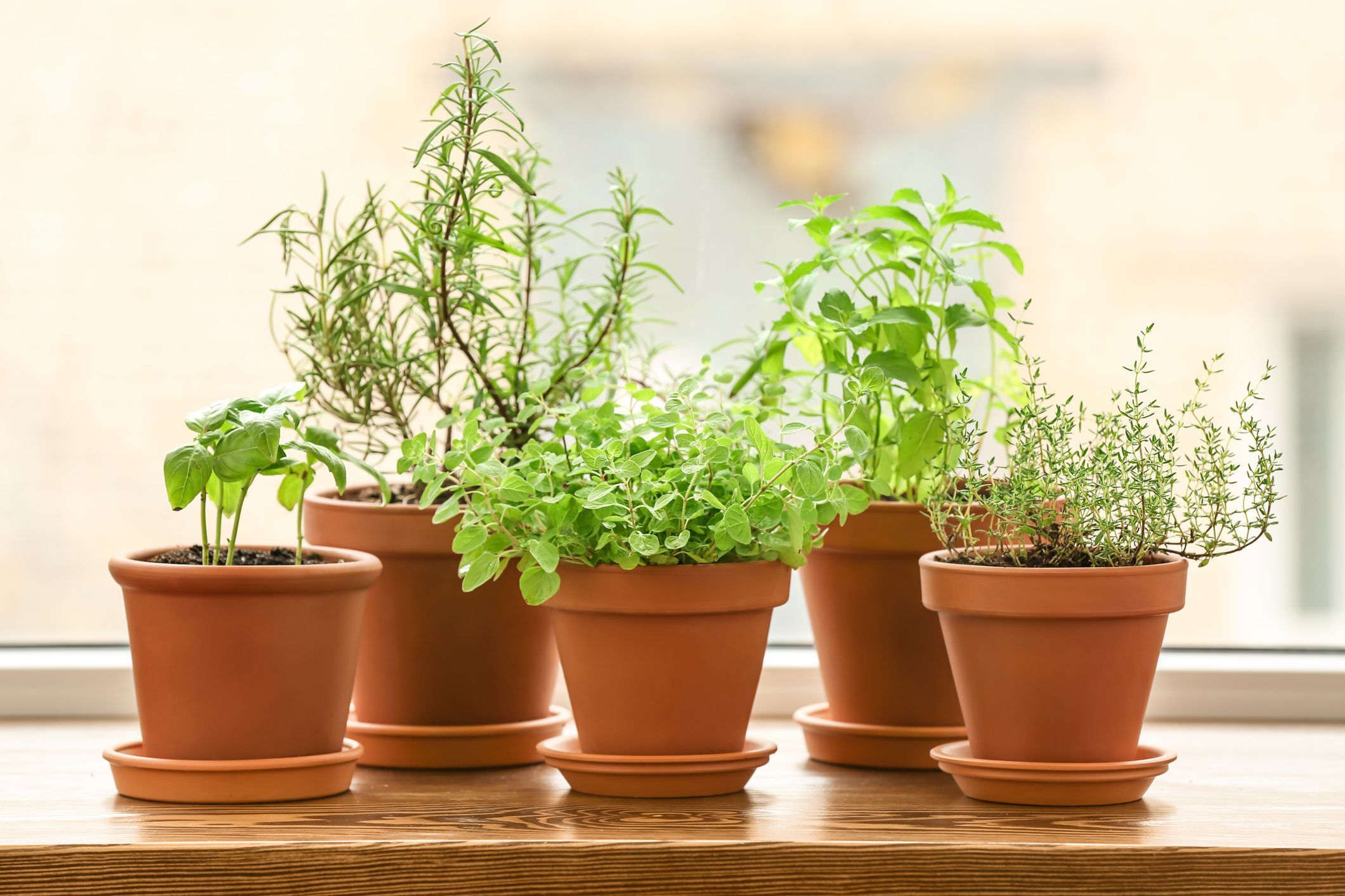 Aromatic Herbs Kitchens