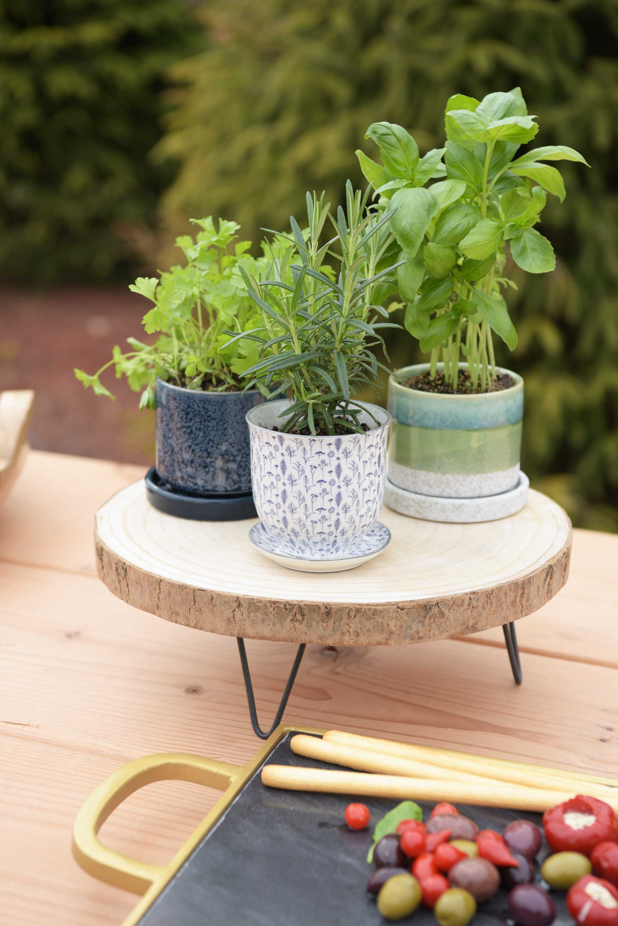Herb Gardens