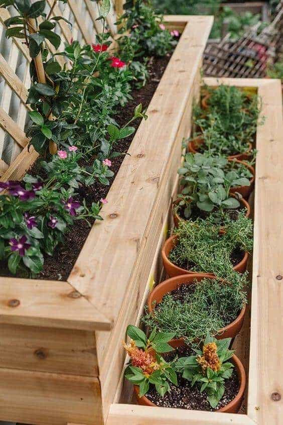 A Scentsational Herb Garden