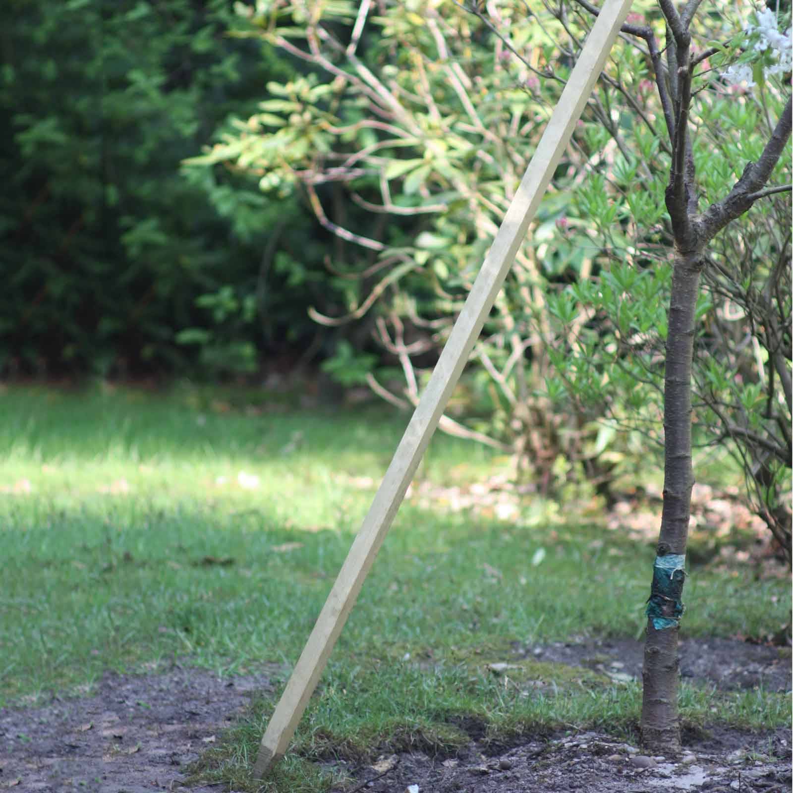 Dragonfly Garden Stakes