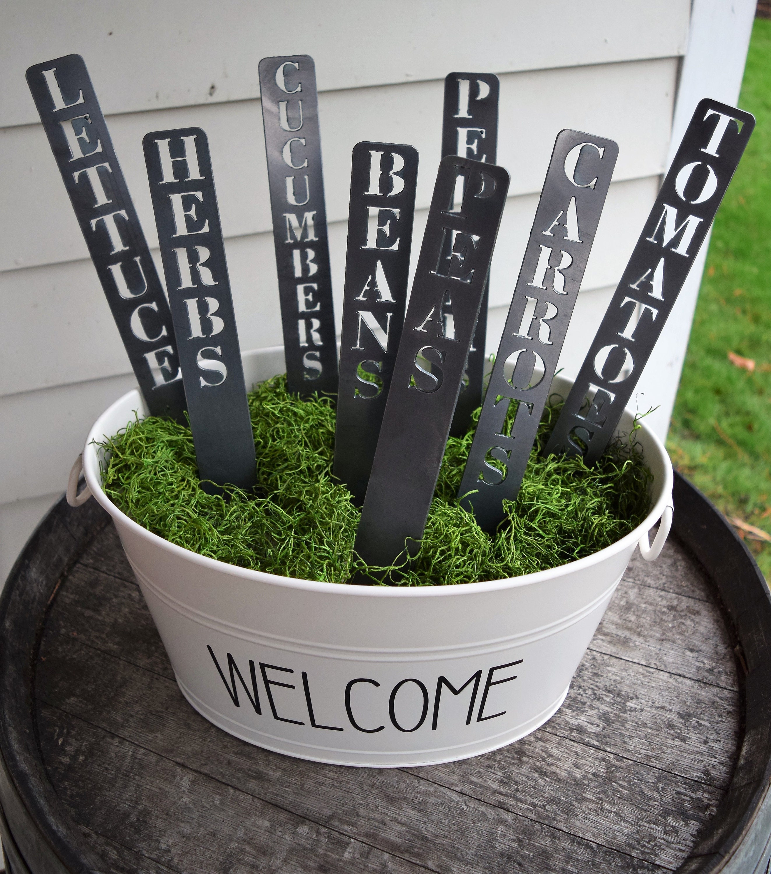 Plant Support Stakes Ps Garden Plant