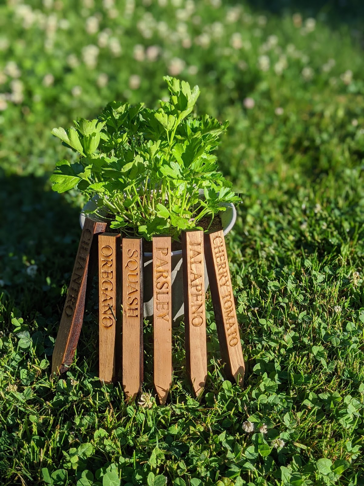 Veggie Garden Stakes Plant Markers A Set