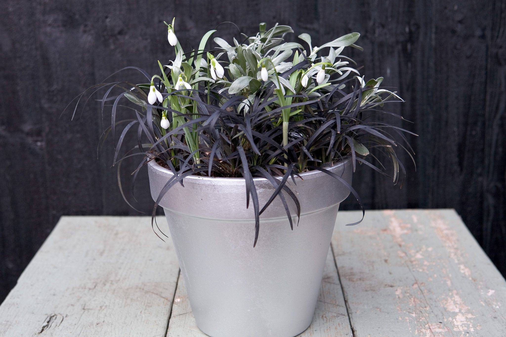 Skipd Snowdrop Stake Light Diy