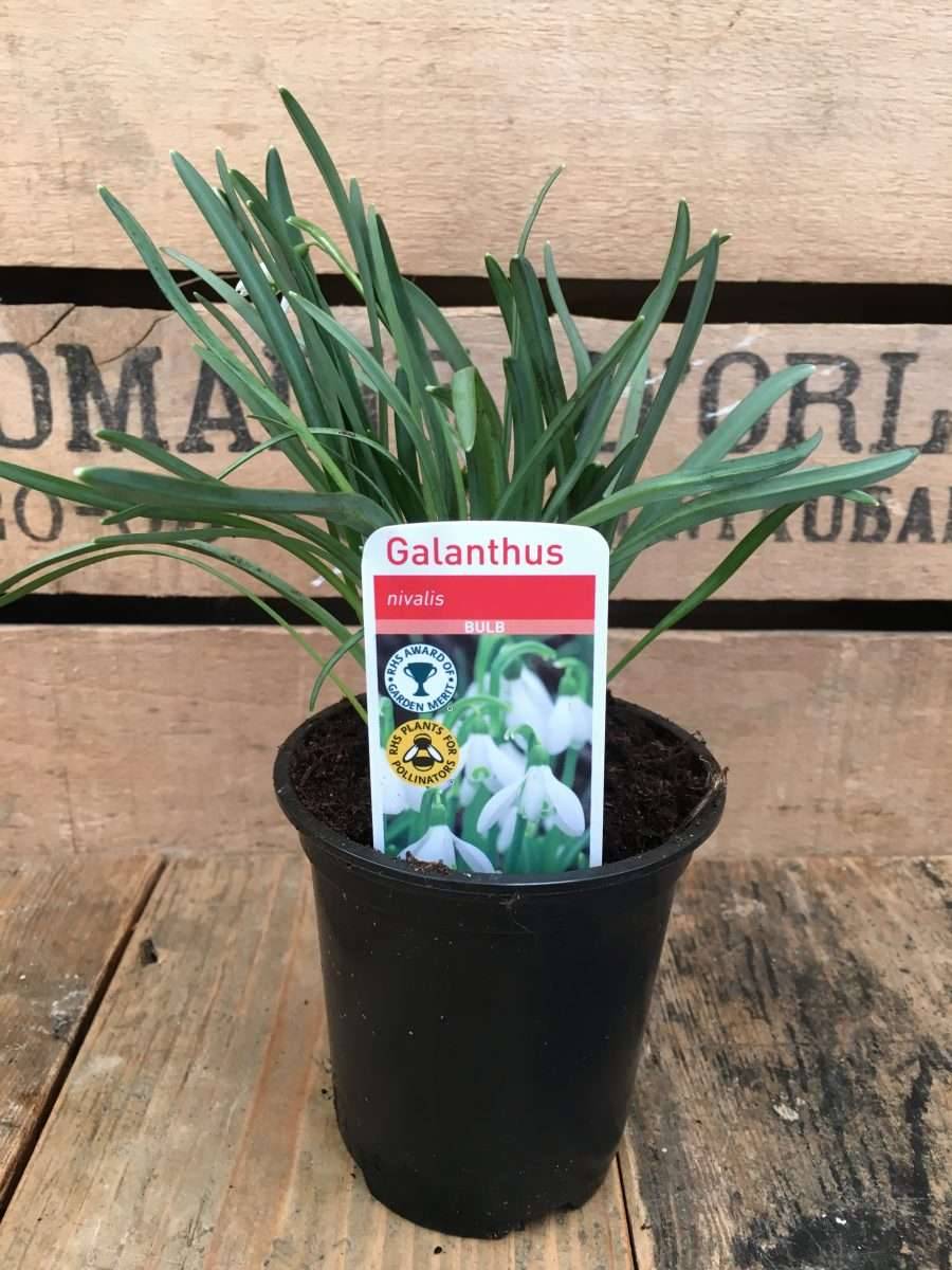 These Great Gardening Ideas