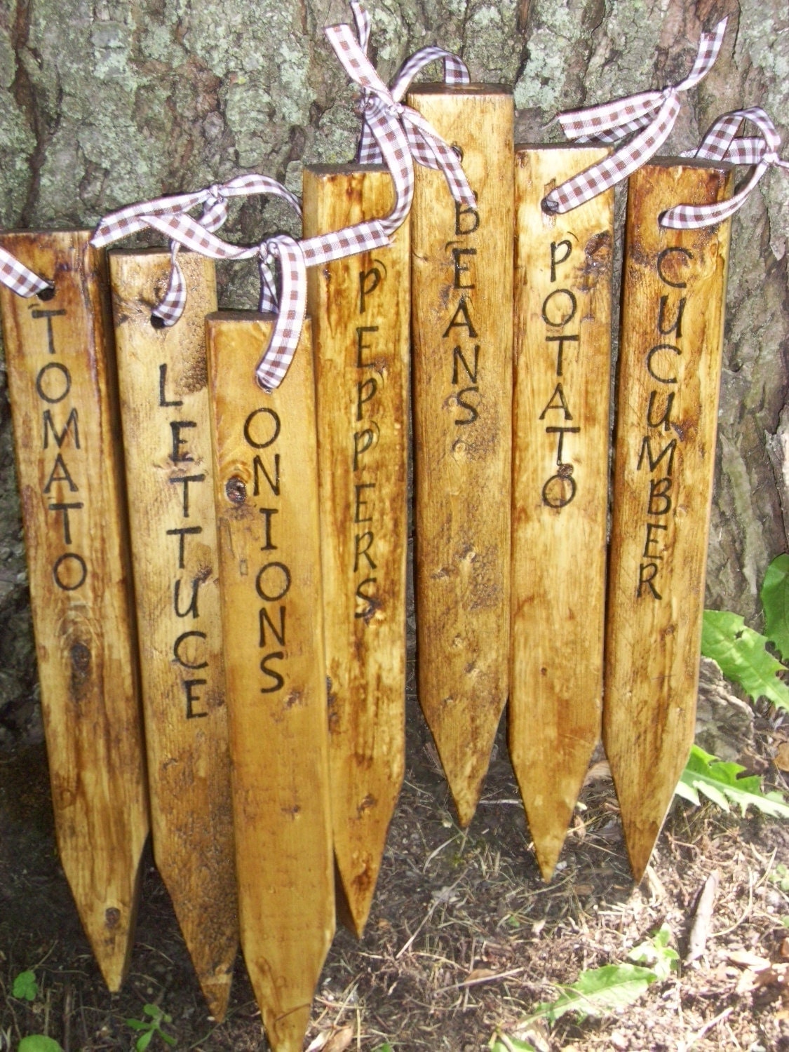 A Pretty And Easy Garden Diy Project