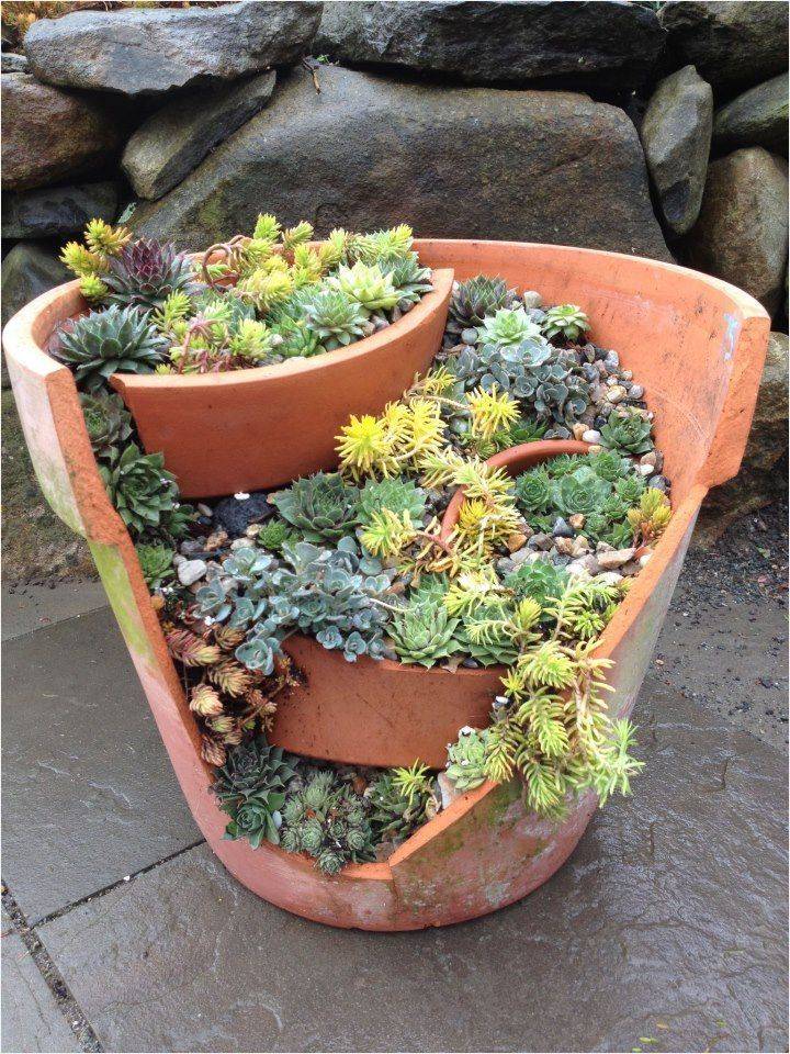 Budgetfriendly And Fun Garden Projects