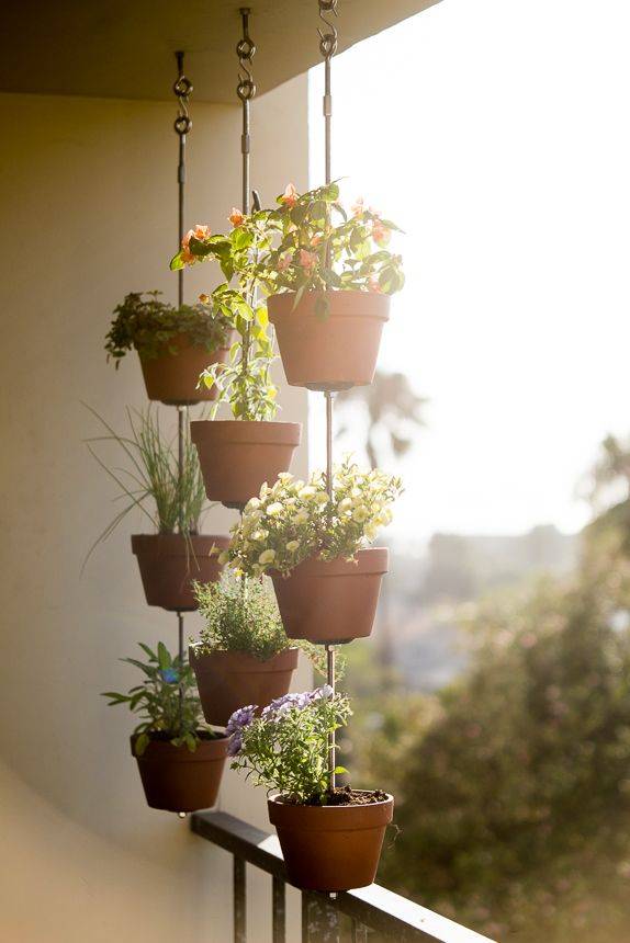 A Vertical Garden