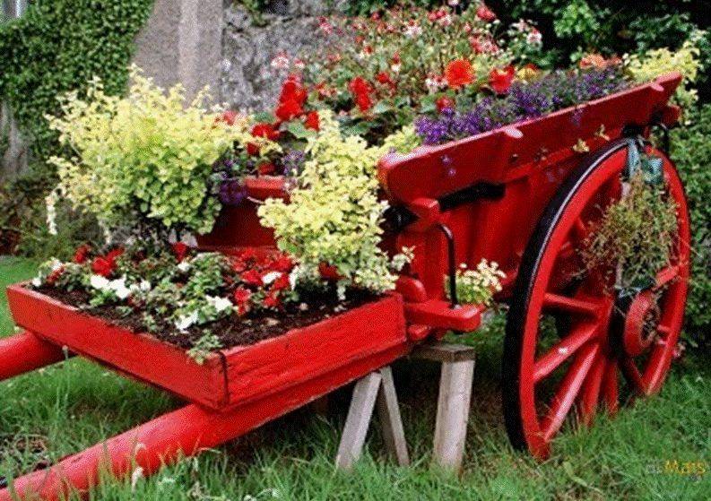Container Gardening Flowers