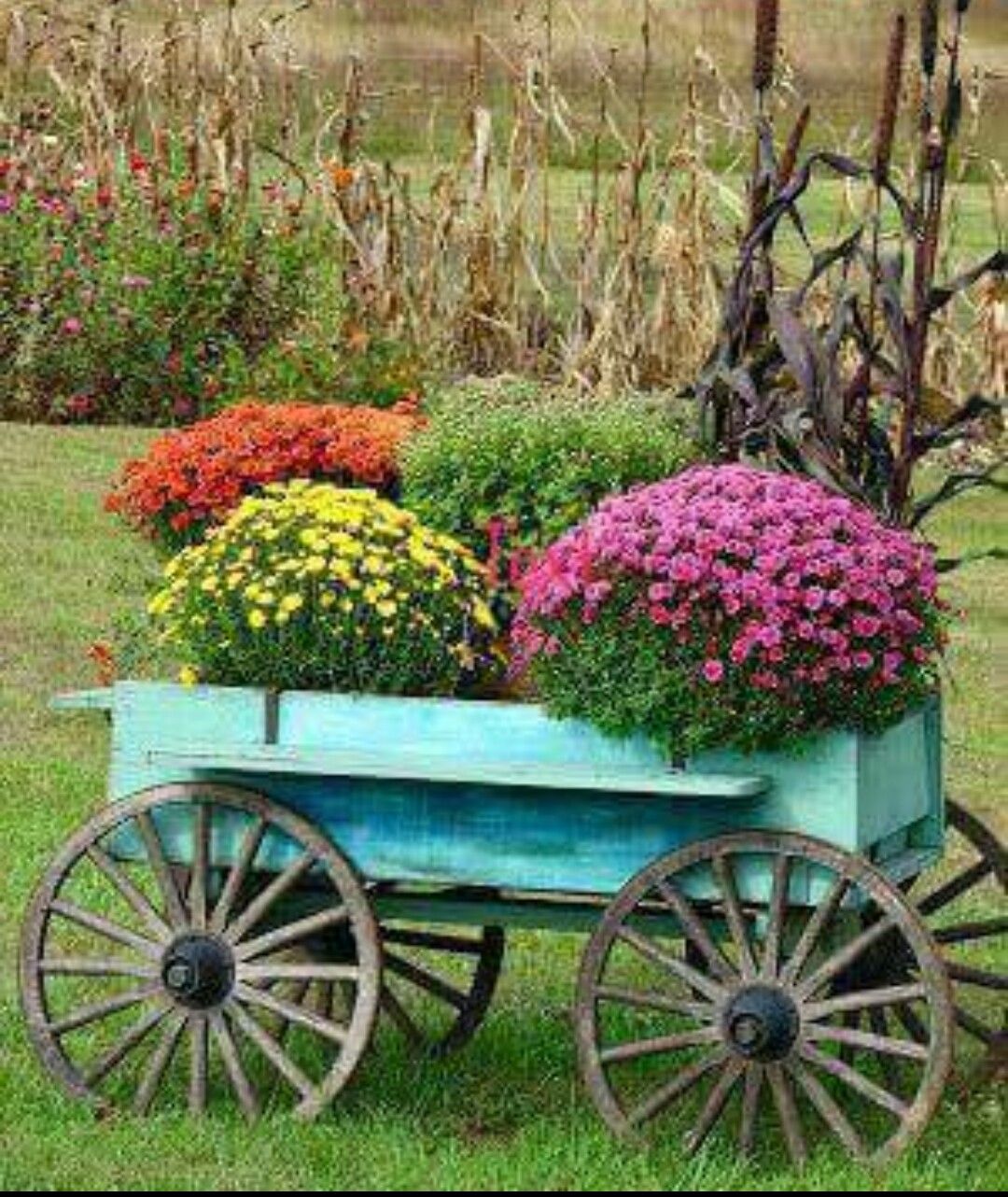 Garden Cart