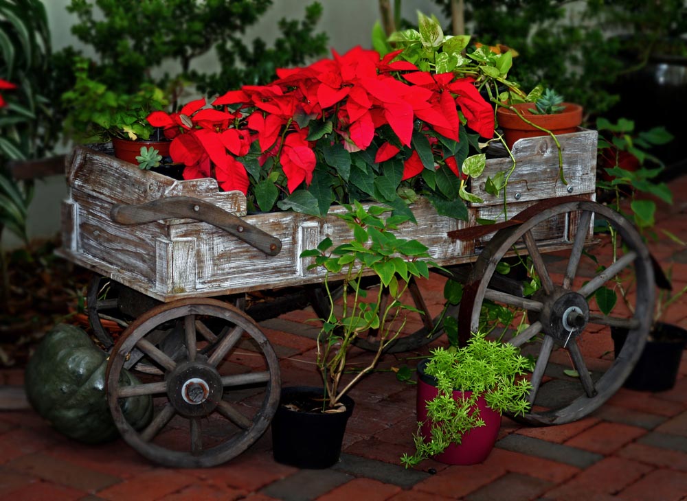Beautiful Gardens Flower Cart