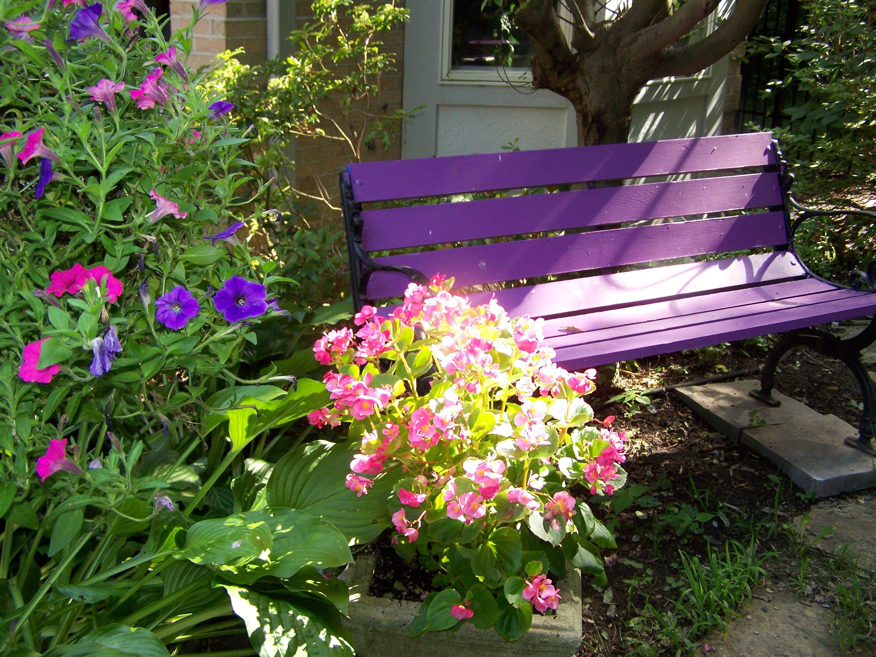 Your Flower Bed Hometalk