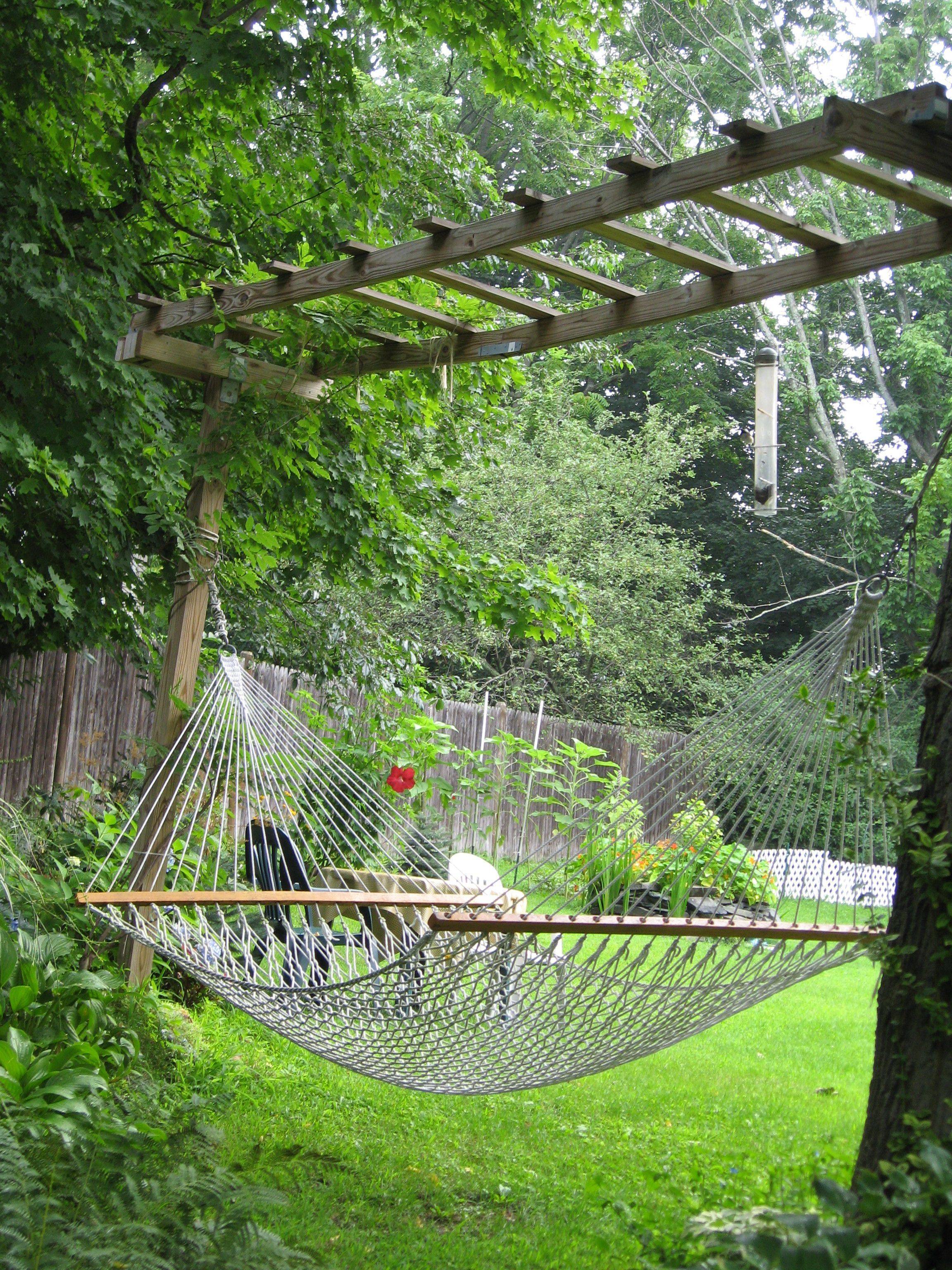 Backyard Hammock Ideas Design Trends