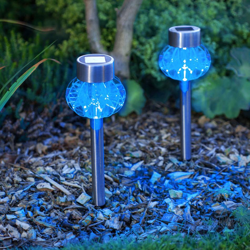 Best Solar Lights