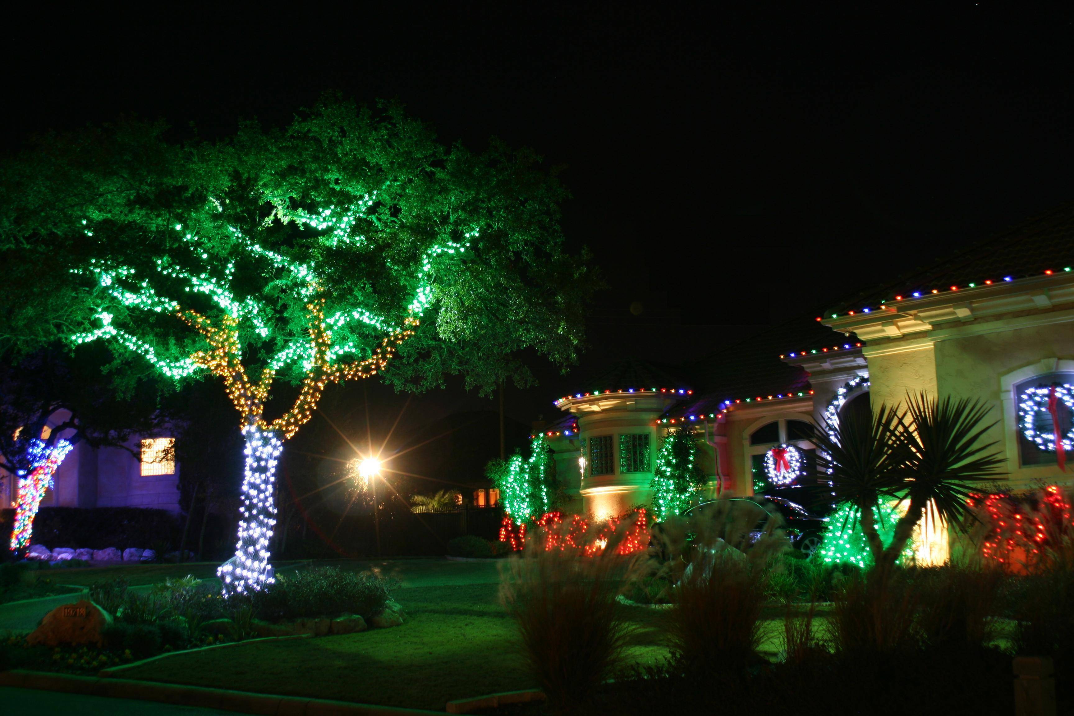 Yard Trees