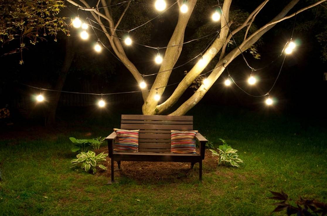 Outdoor Trees