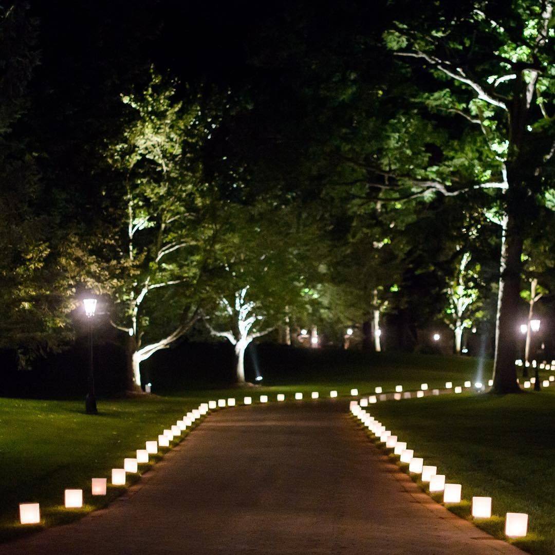 Mustsee Outdoor String Light Ideas Soil Seed