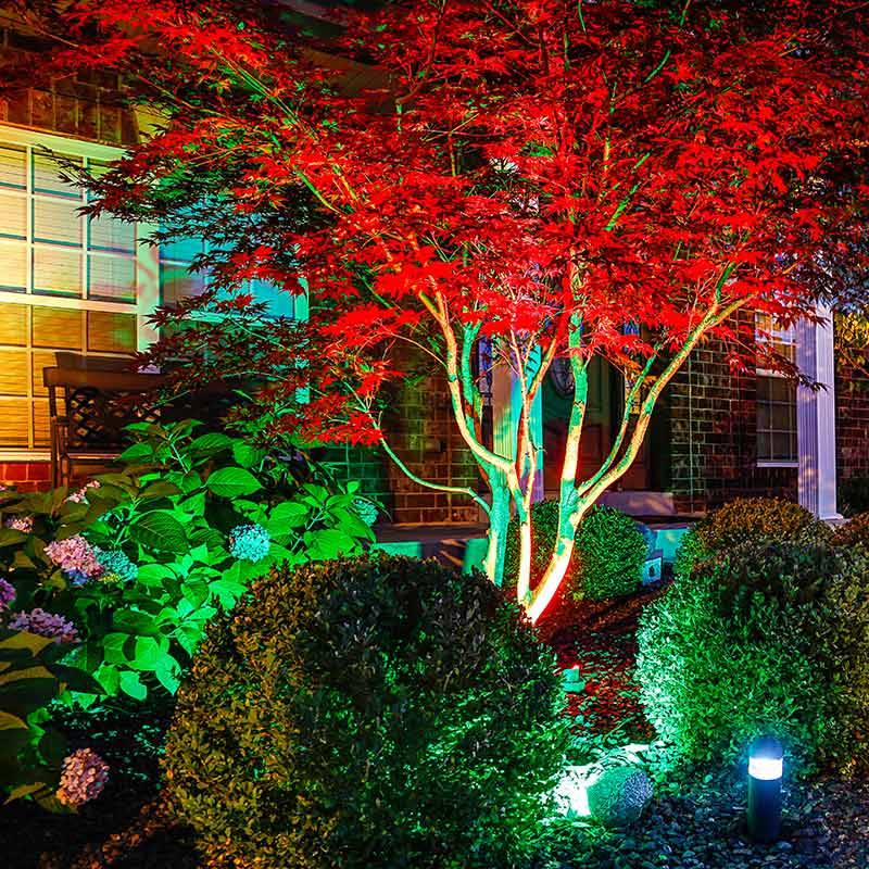 Outdoor Lighting Ideas