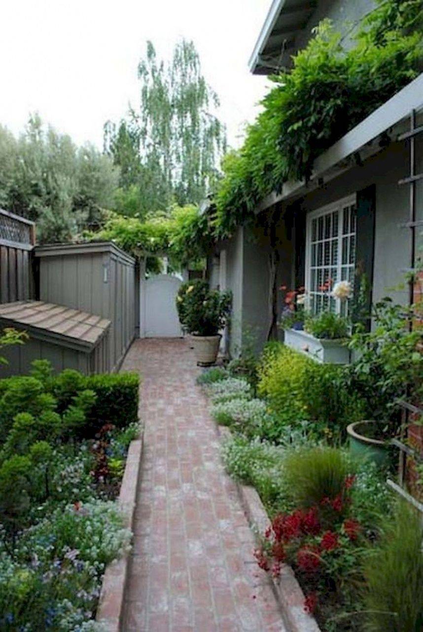 Exciting Side House Garden Ideas