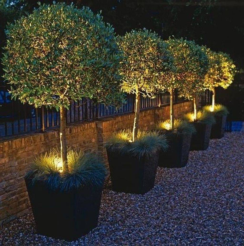 Innovative Outdoor Lighting Ideas