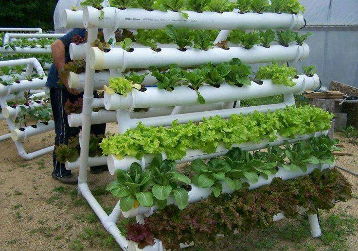 Best Diy Vertical Garden