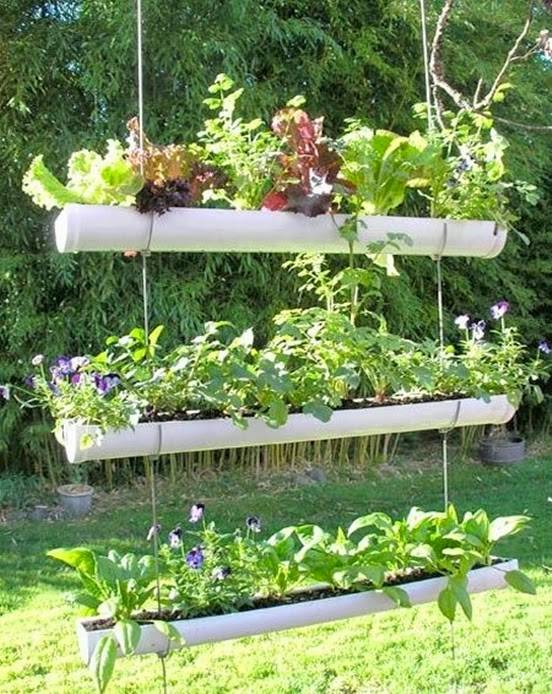 Creative Gardening Ideas
