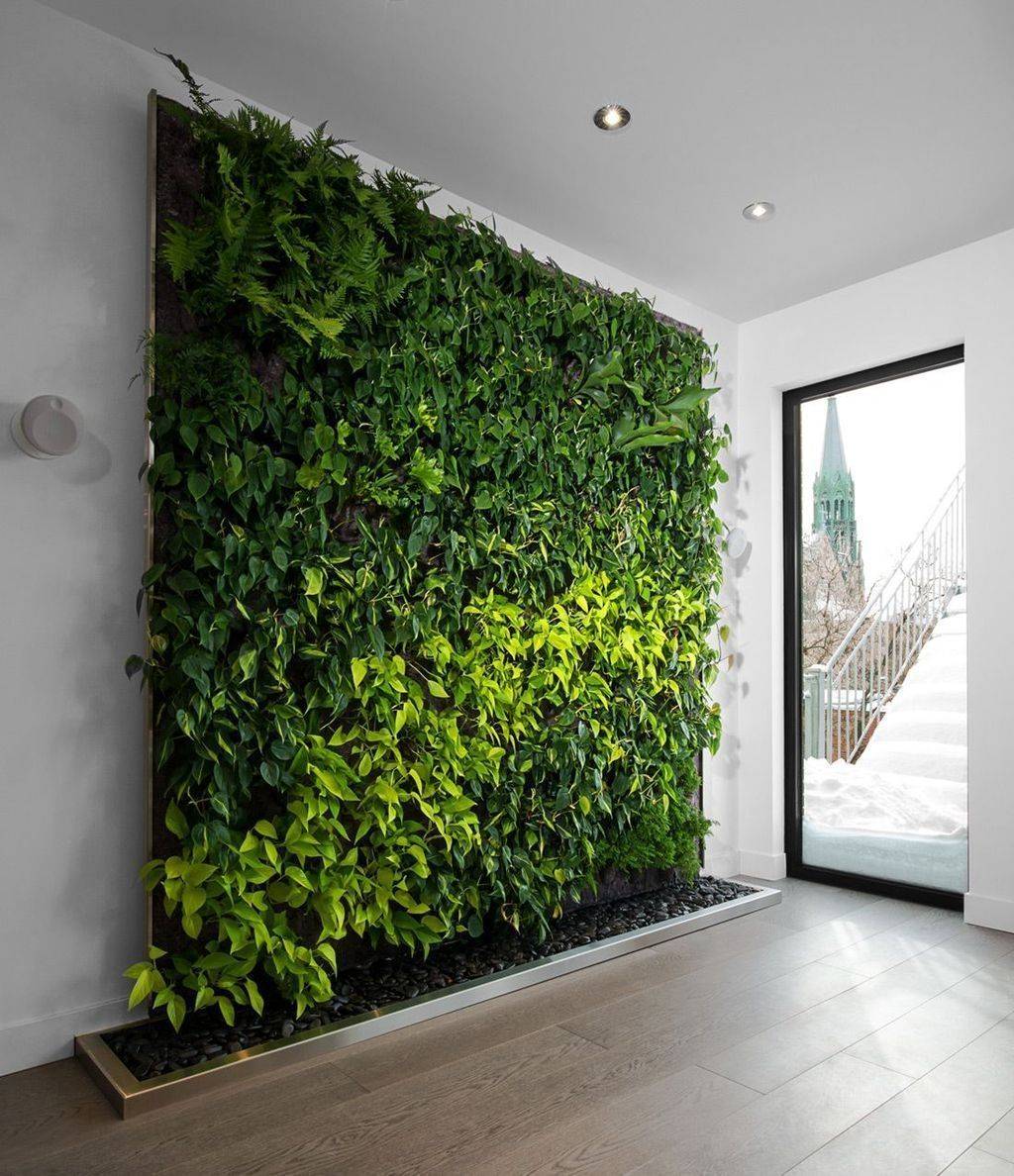 20 Indoor Living Walls Vertical Garden Ideas You Should Check SharonSable
