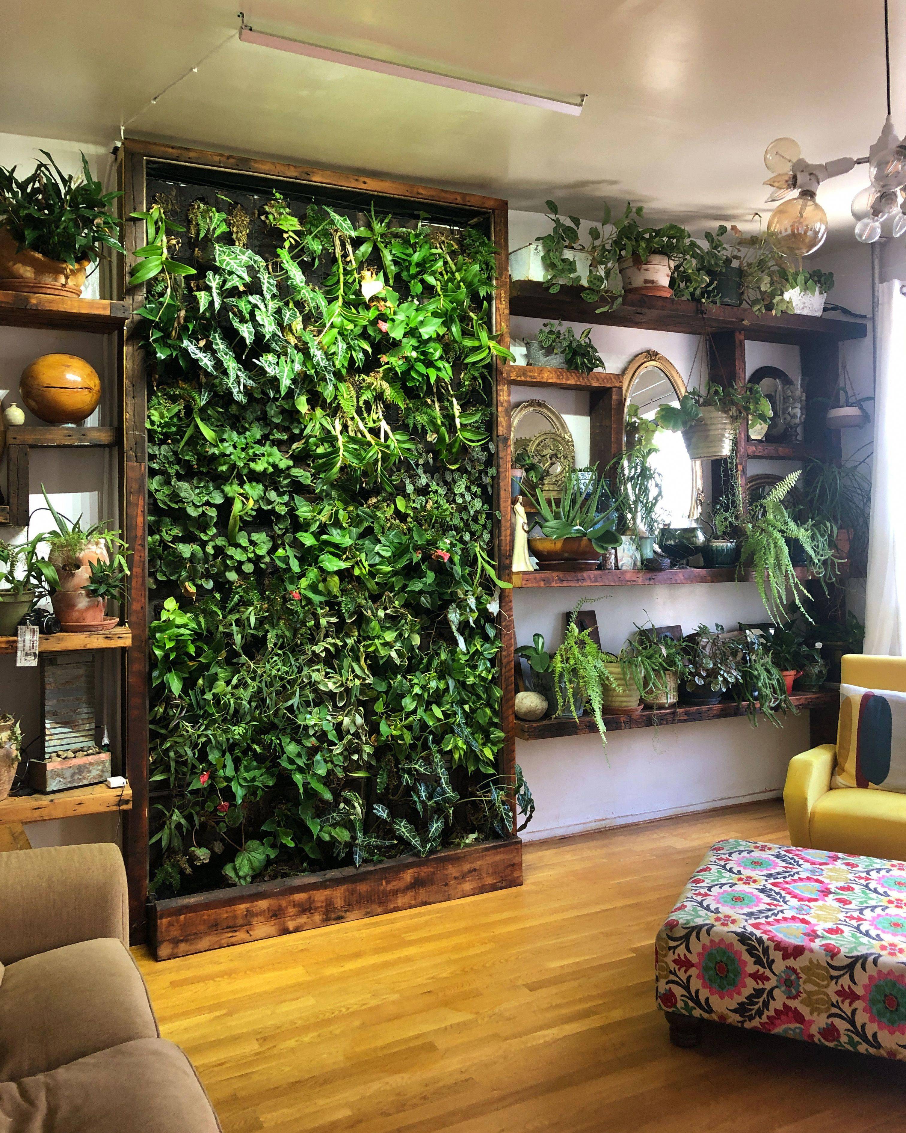 Sunloving Succulents And Grasses Living Wall