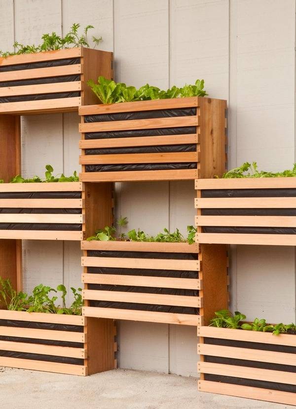 Vertical Gardening Planters