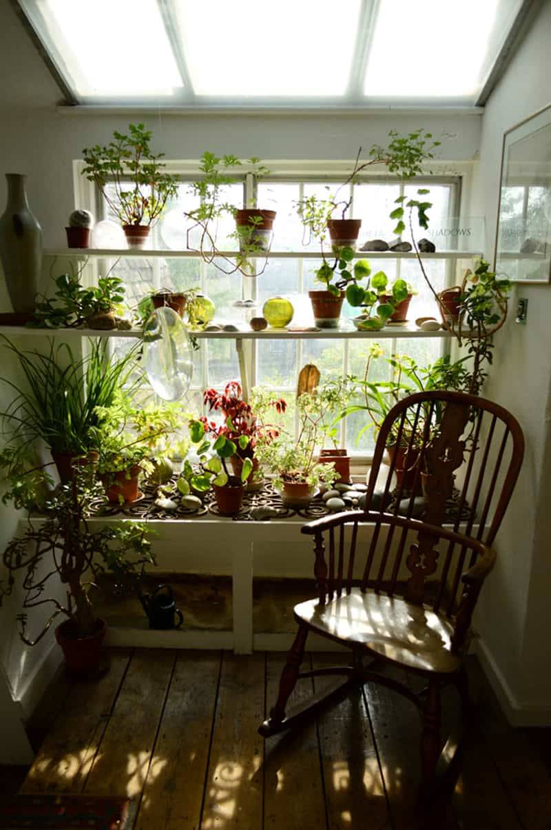 Window Herb Garden