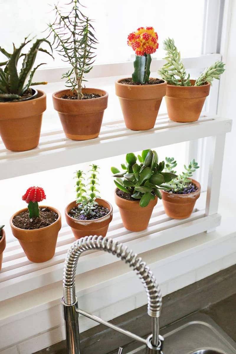 Diy Hanging Herb Garden Window Treatments Ideas