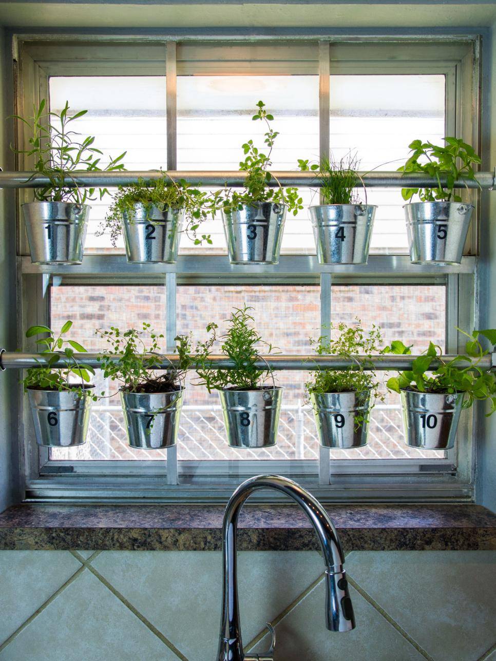 Inspiring Awesome Windows Hanging Plants Ideas