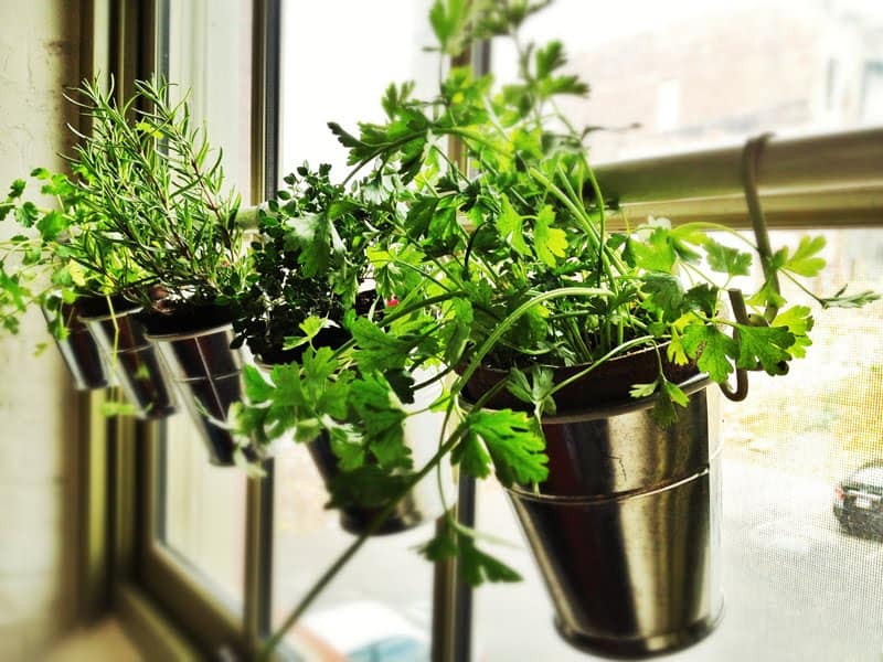 Fabulous Diy Herb Garden